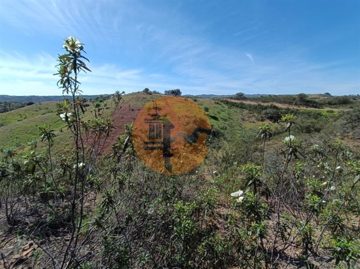 Image No.19-Plot for sale