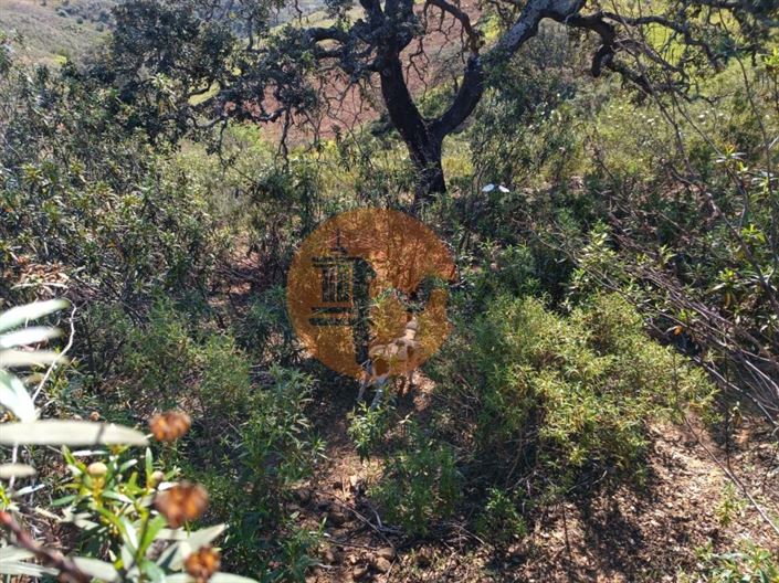 Image No.21-Plot for sale