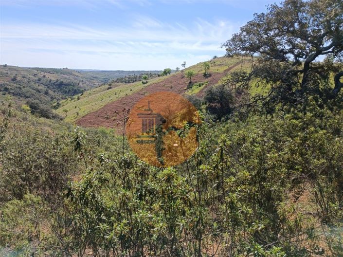 Image No.23-Plot for sale