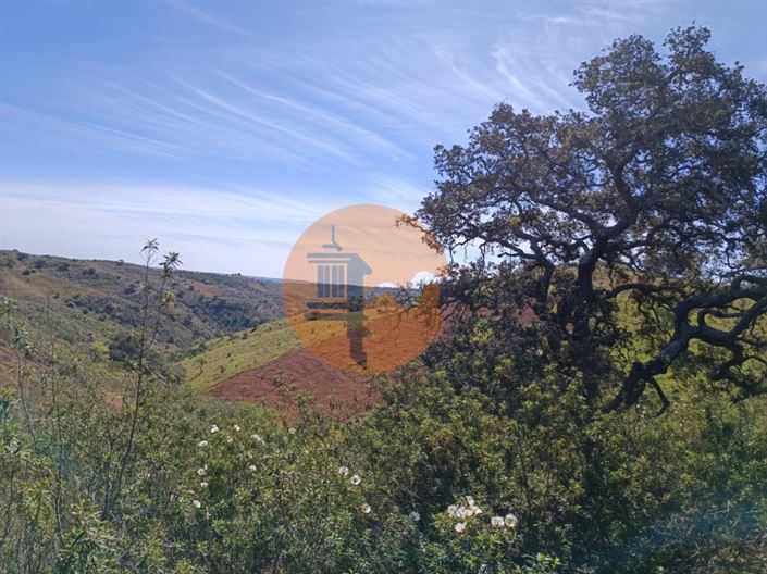 Image No.31-Plot for sale