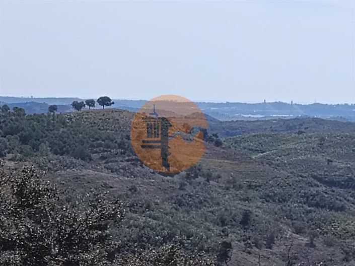 Image No.5-Plot for sale