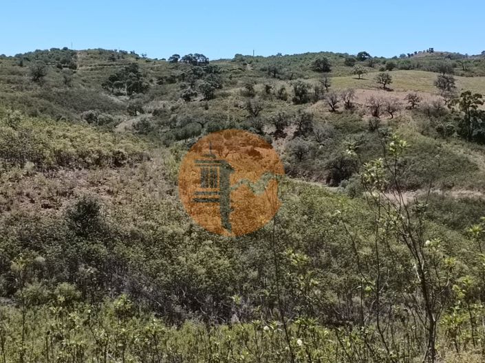 Image No.21-Plot for sale