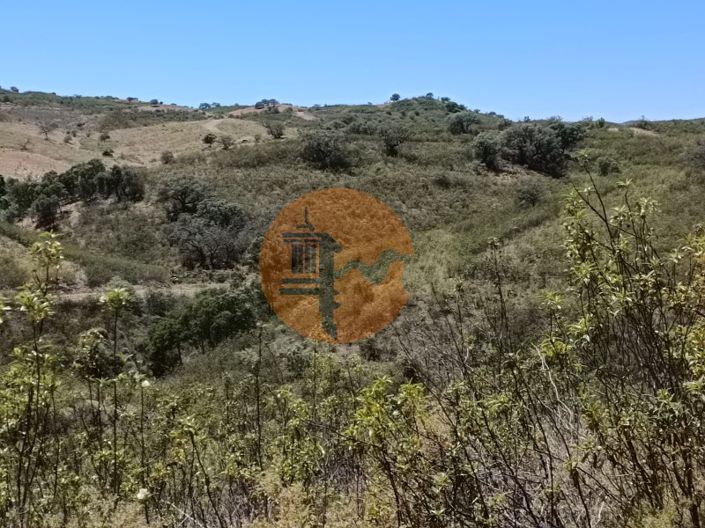 Image No.25-Plot for sale