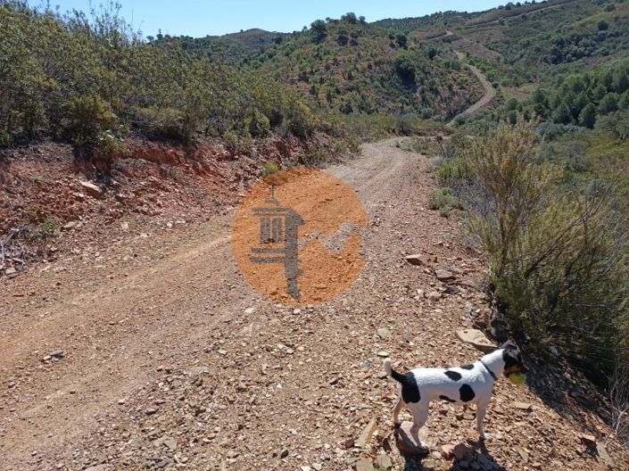 Image No.12-Plot for sale