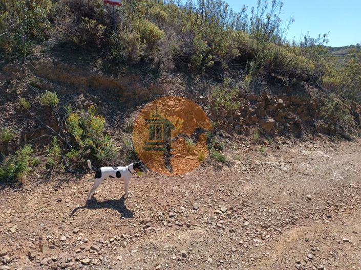 Image No.18-Plot for sale