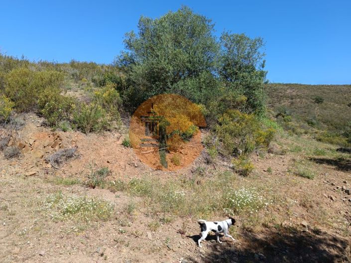 Image No.19-Plot for sale