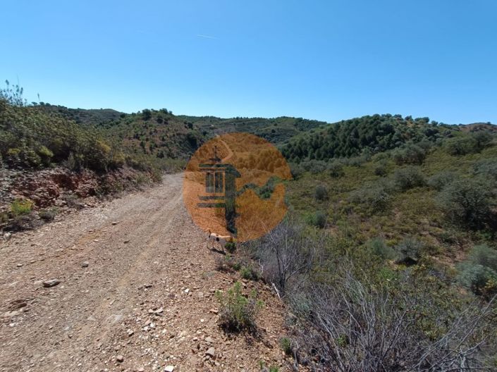 Image No.3-Plot for sale