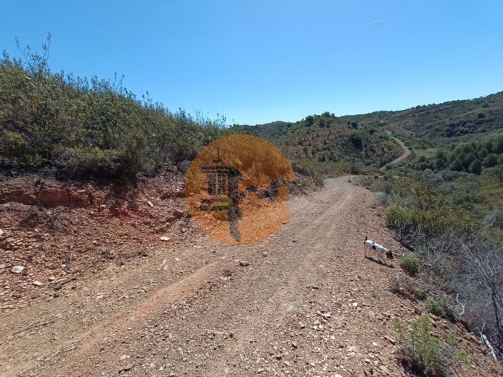 Image No.5-Plot for sale