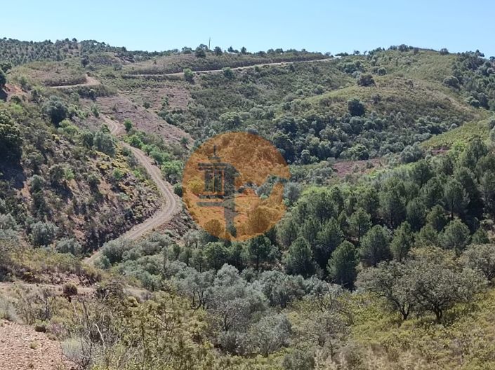 Image No.9-Plot for sale