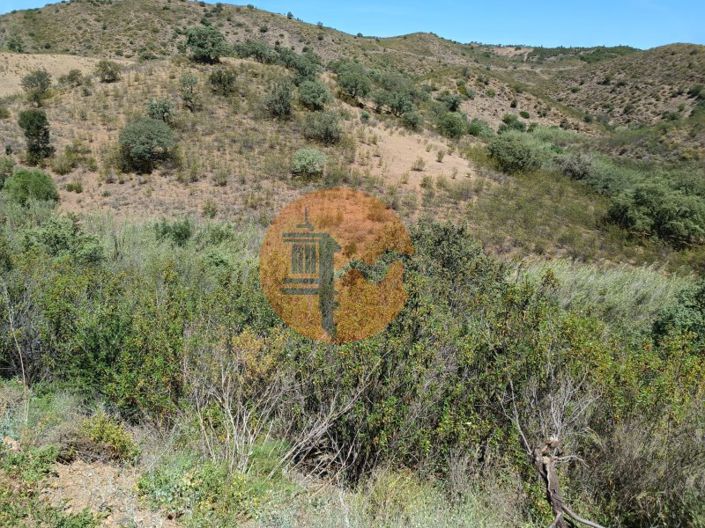 Image No.4-Plot for sale