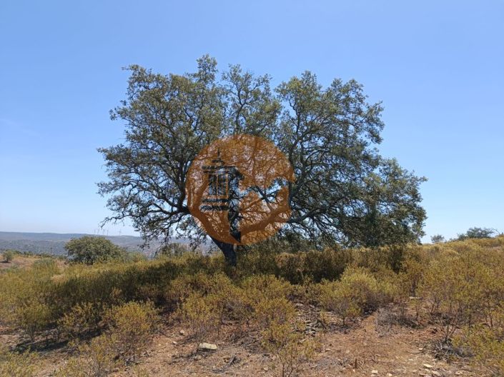 Image No.15-Plot for sale