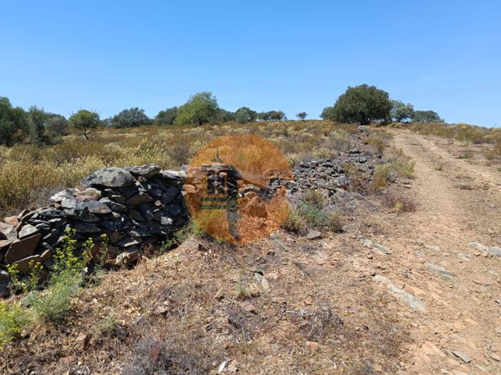 Image No.23-Plot for sale