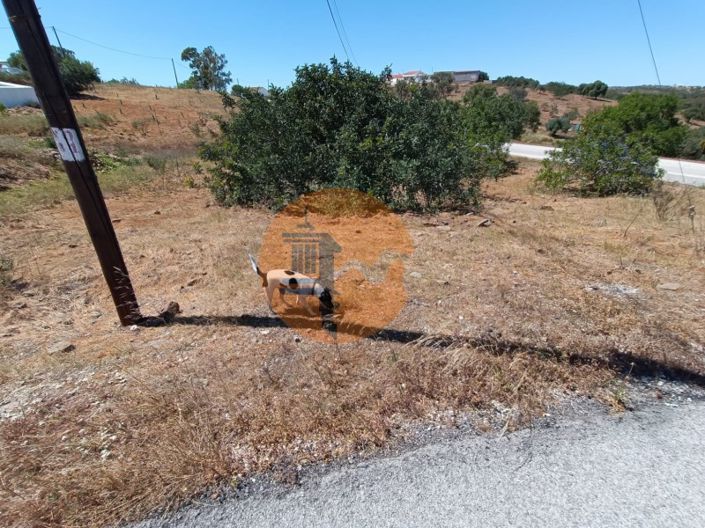 Image No.9-Maison de 2 chambres à vendre à Castro Marim