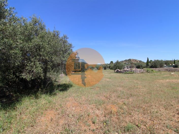 Image No.3-Plot for sale