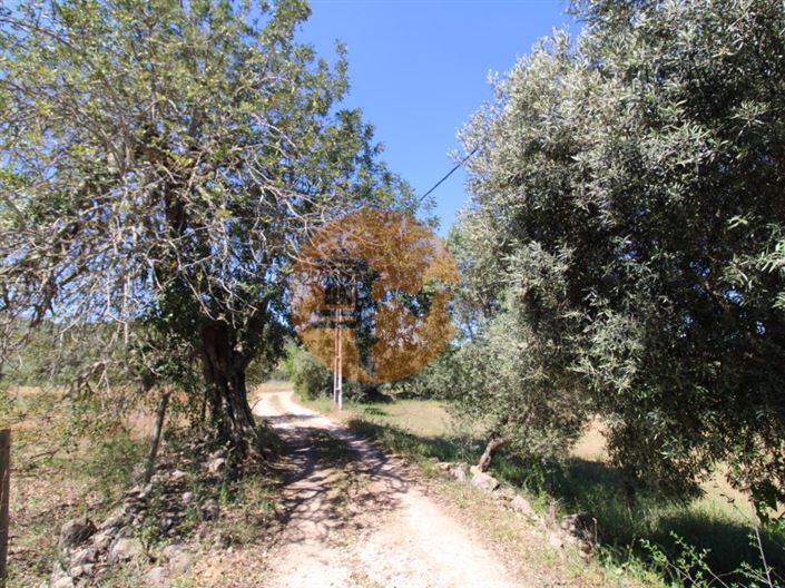 Image No.14-Plot for sale