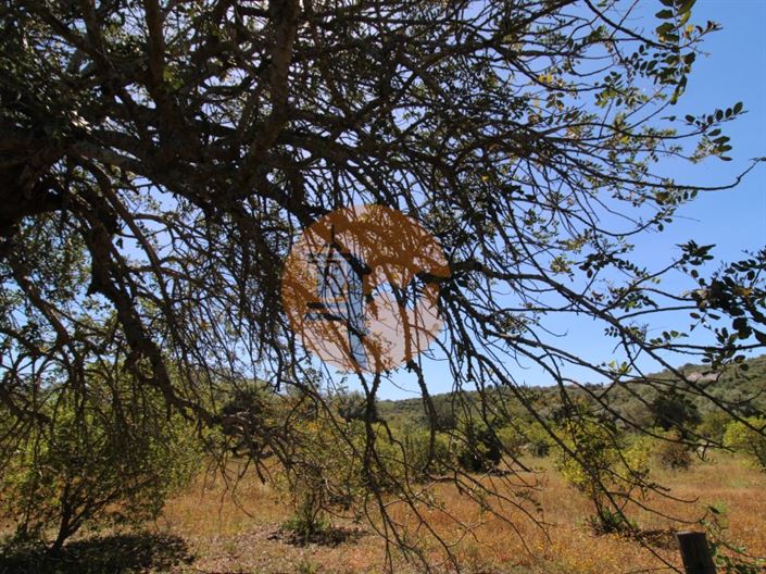 Image No.17-Plot for sale