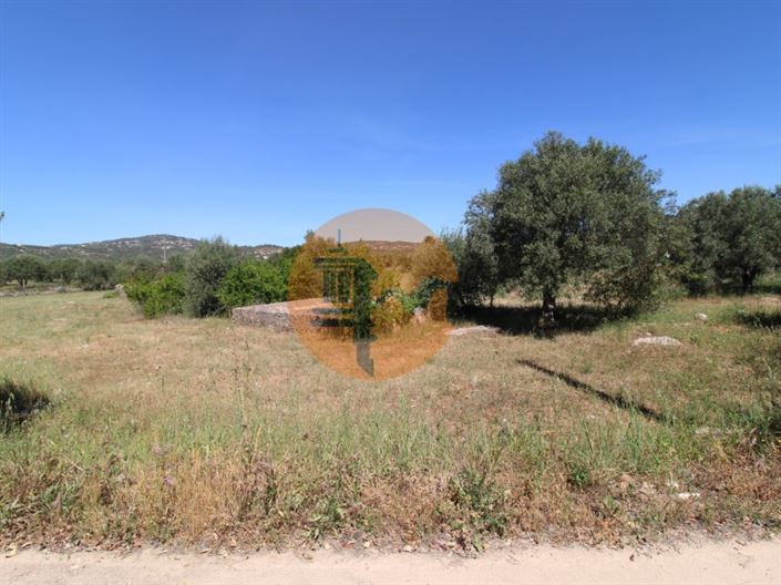 Image No.11-Plot for sale