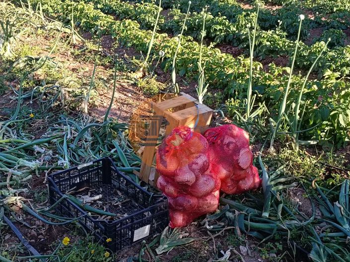 Image No.11-Plot for sale