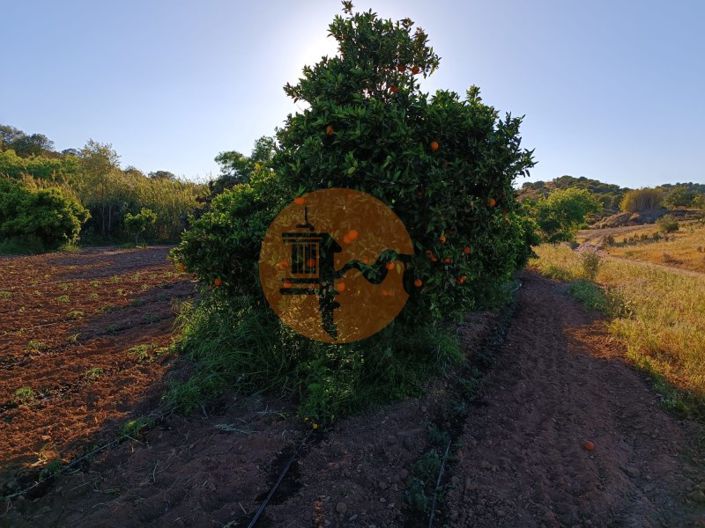 Image No.13-Plot for sale