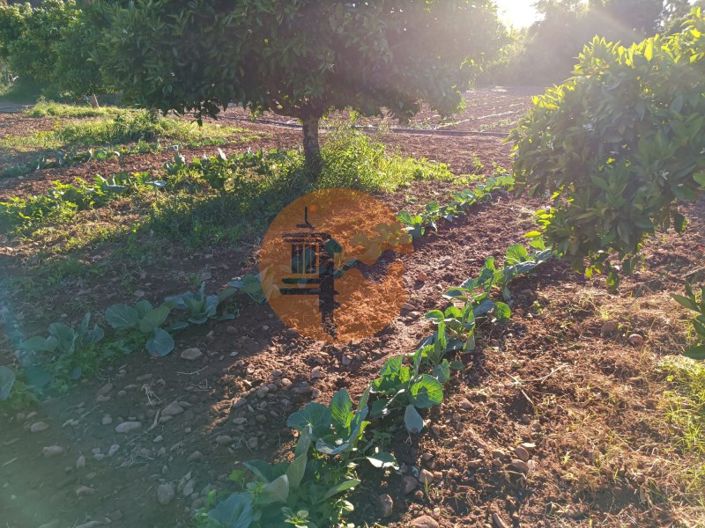 Image No.16-Plot for sale