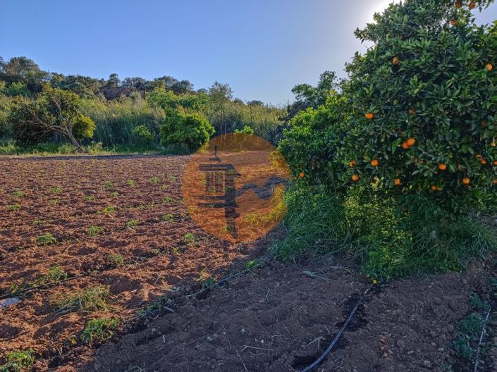 Image No.17-Plot for sale