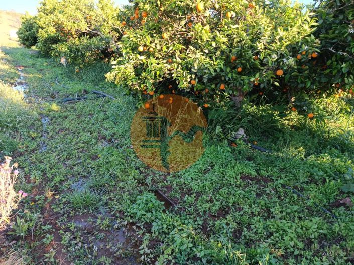 Image No.21-Plot for sale