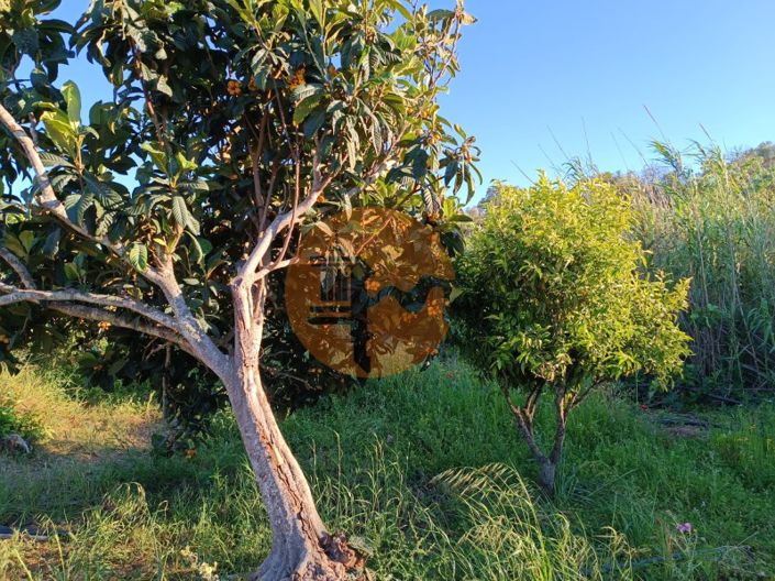 Image No.25-Plot for sale