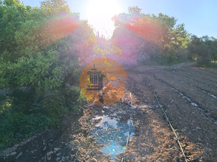 Image No.28-Plot for sale