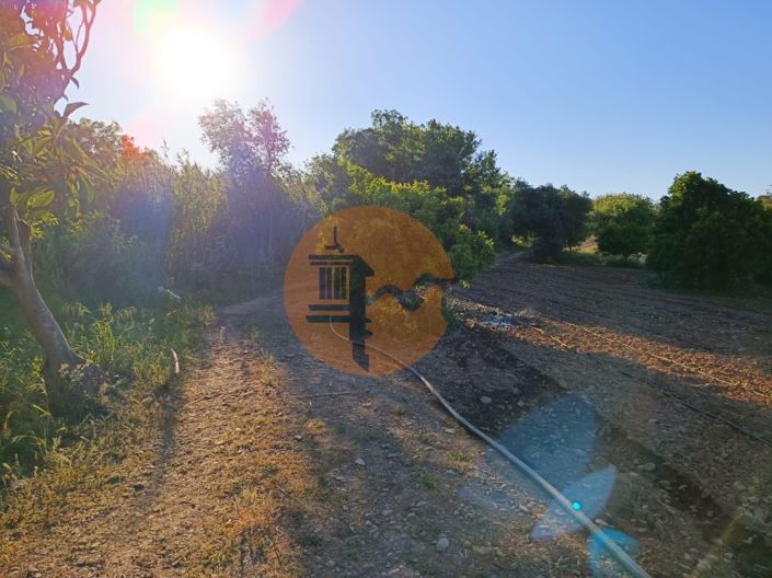 Image No.31-Plot for sale