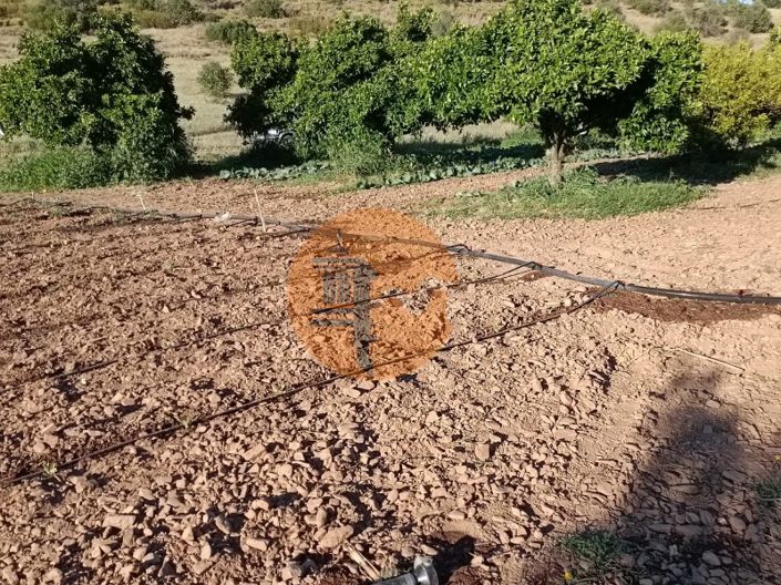 Image No.33-Plot for sale