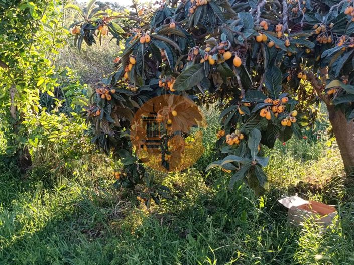 Image No.38-Plot for sale