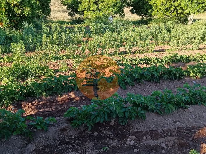 Image No.45-Plot for sale