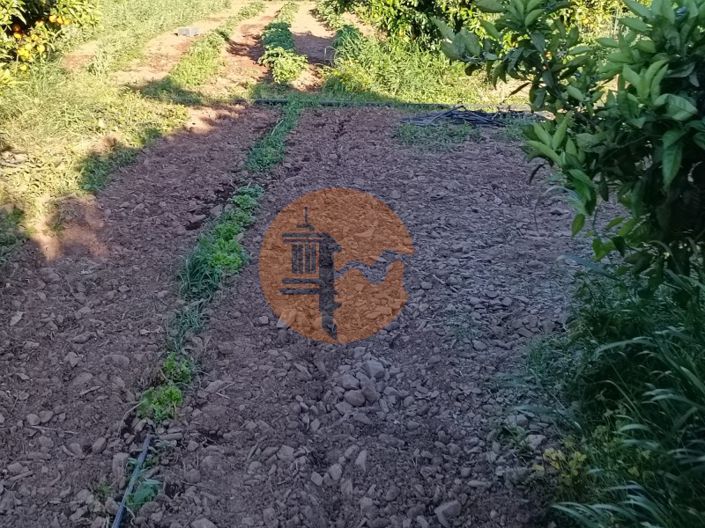 Image No.50-Plot for sale