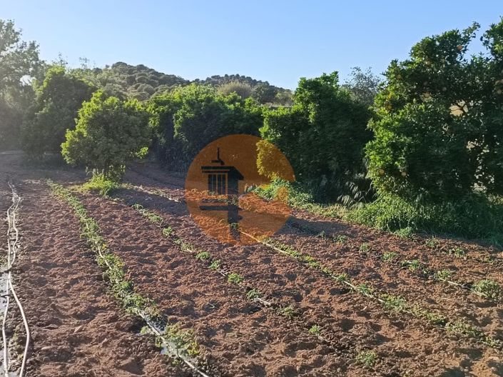 Image No.51-Plot for sale