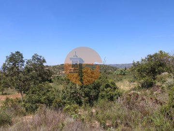 id21da6b01-0000-0500-0000-0000115a0df9