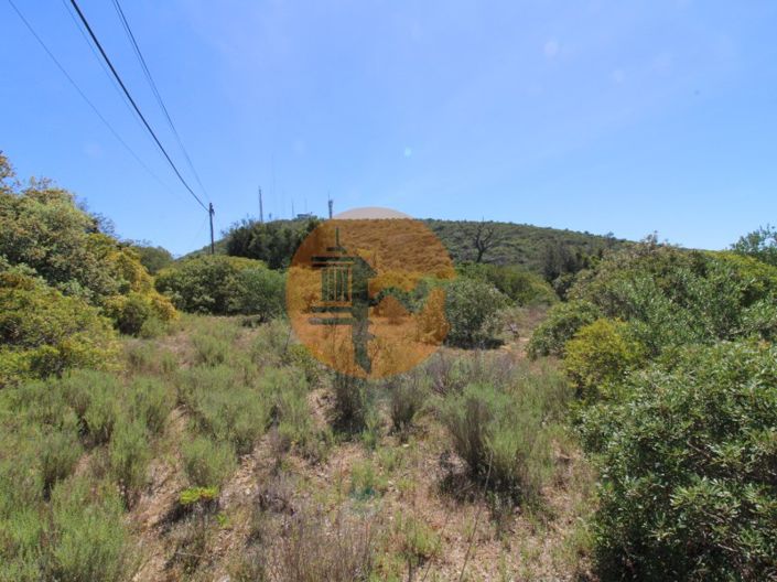 Image No.10-Plot for sale