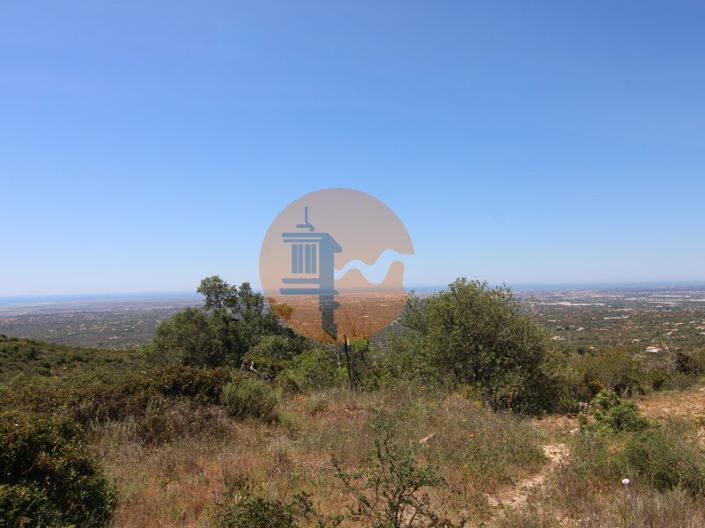 Image No.2-Plot for sale