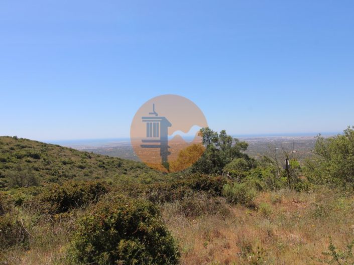 Image No.3-Plot for sale