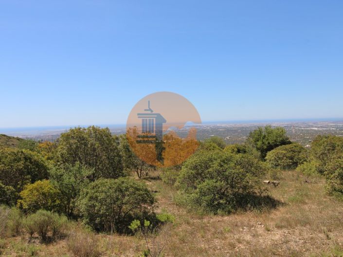 Image No.4-Plot for sale