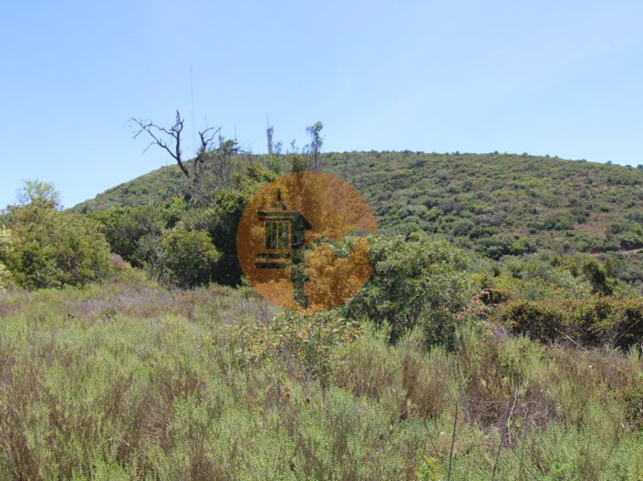 Image No.6-Plot for sale