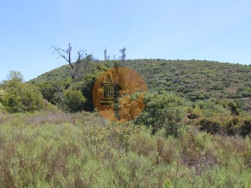 id21da6b01-0000-0500-0000-0000115a0dfe