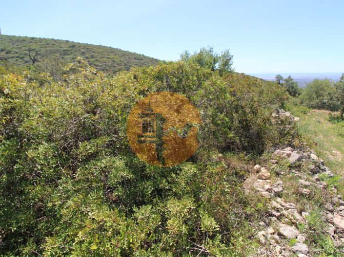 Image No.9-Plot for sale