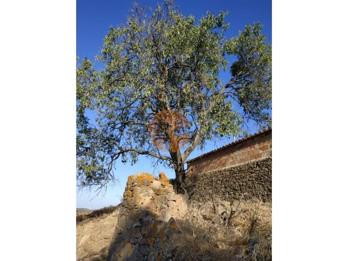 Image No.48-Maison de 3 chambres à vendre à Castro Marim