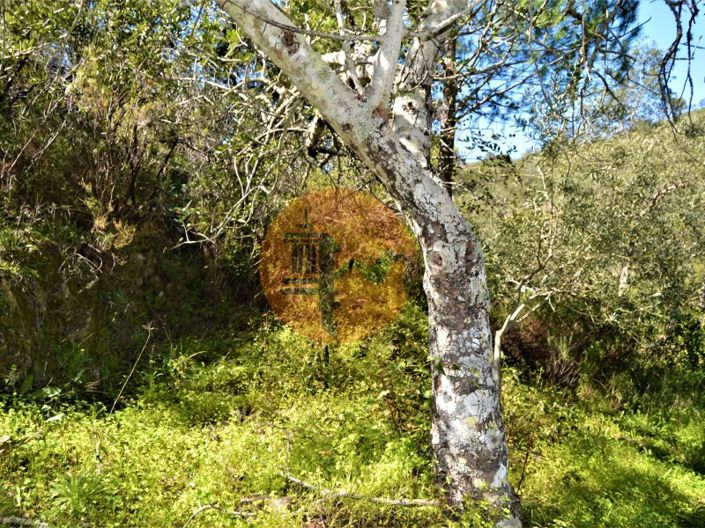 Image No.12-Plot for sale