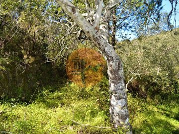 idfc2b6a01-0000-0500-0000-000011564147