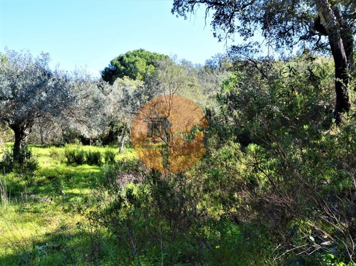 Image No.14-Plot for sale