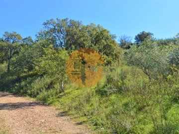 idfc2b6a01-0000-0500-0000-00001156413d