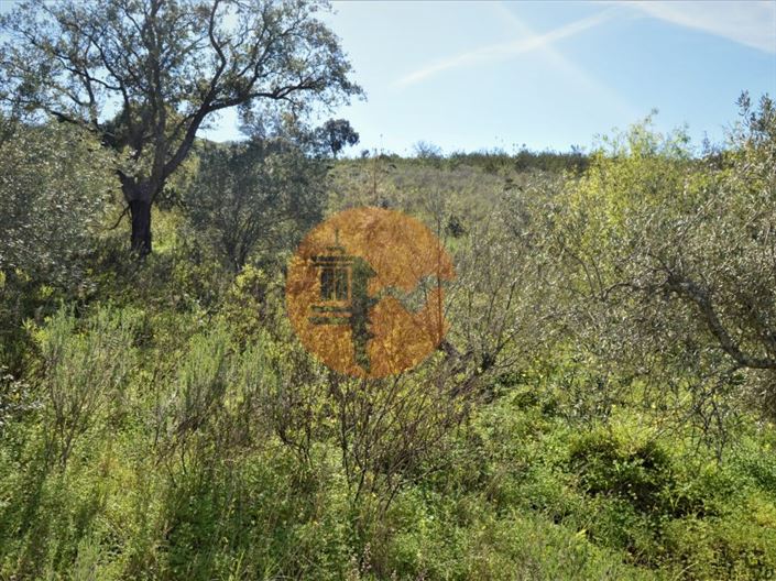 Image No.3-Plot for sale