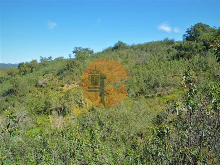 Image No.5-Plot for sale