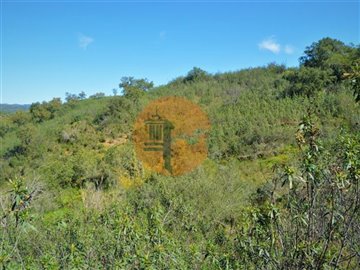 idfc2b6a01-0000-0500-0000-000011564140